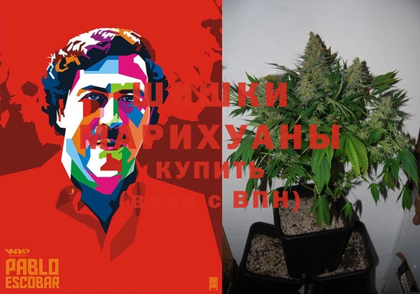jwh Новозыбков