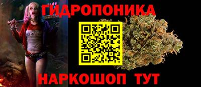 тгк Гусев