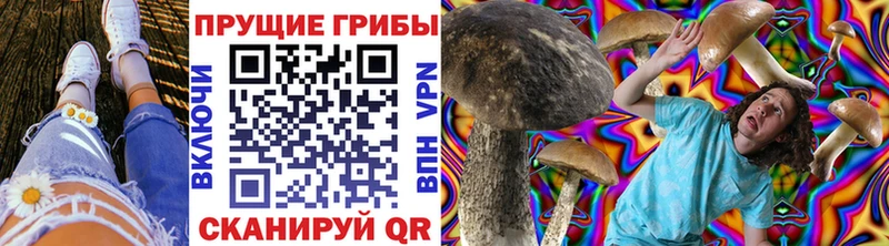 Псилоцибиновые грибы MAGIC MUSHROOMS  Калач-на-Дону 