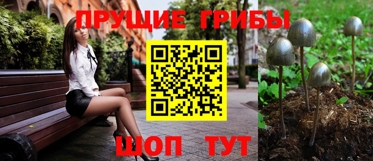 Псилоцибиновые грибы Cubensis  Вход с VPN  Галлюциногенные грибы прущие грибы  Калач-на-Дону 
