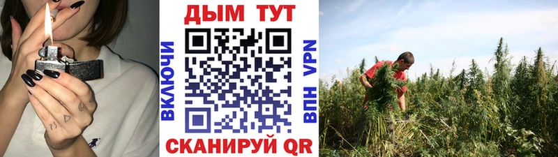 Каннабис VHQ  где купить наркотик  Калач-на-Дону 